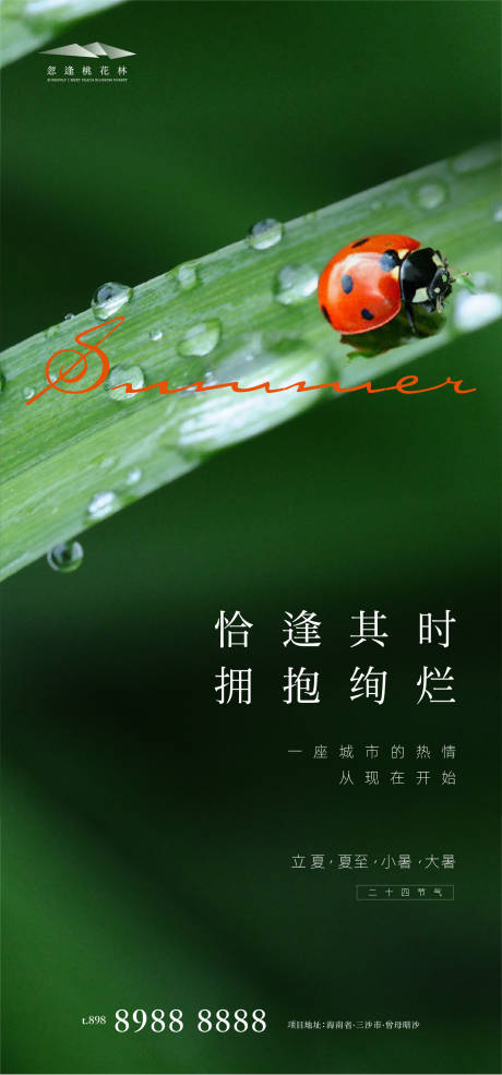 源文件下載【享設計】搜索編號：20370004407205044【夏至節氣海報】
