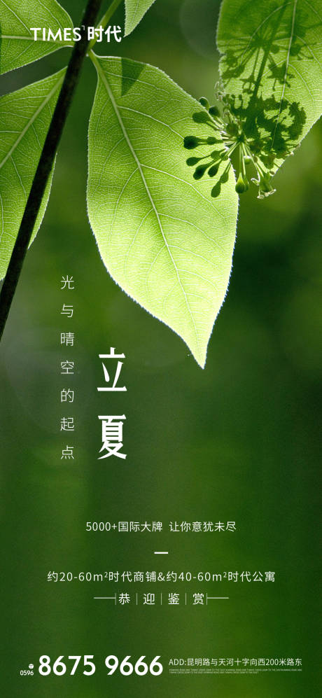 源文件下載【地產(chǎn)立夏節(jié)氣海報 】編號：80440004346602977