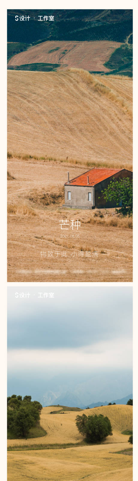源文件下载【享设计】搜索编号：97190004464495262【芒种系列海报】