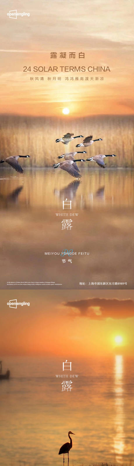 源文件下载【白露系列海报】编号：26000004230984087