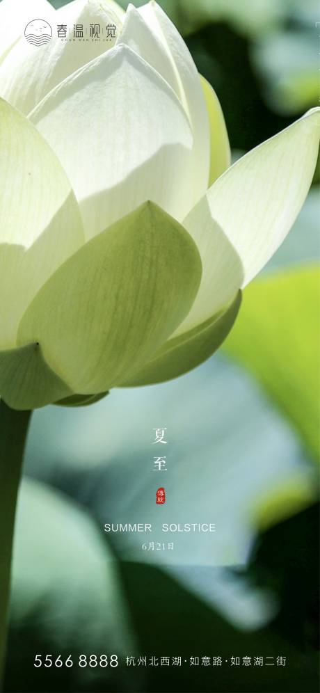 源文件下载【享设计】搜索编号：46820004457977496【夏至节气海报】