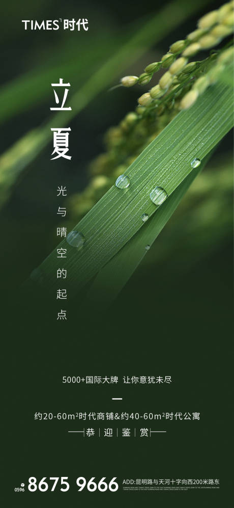 源文件下載【地產(chǎn)立夏節(jié)氣海報(bào) 】編號：41500004346618918