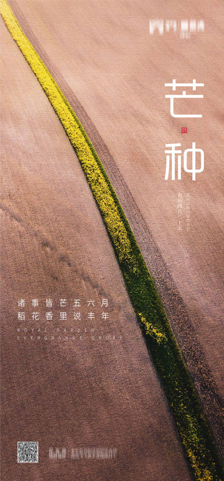源文件下载【芒种节气海报】编号：49800004903458307