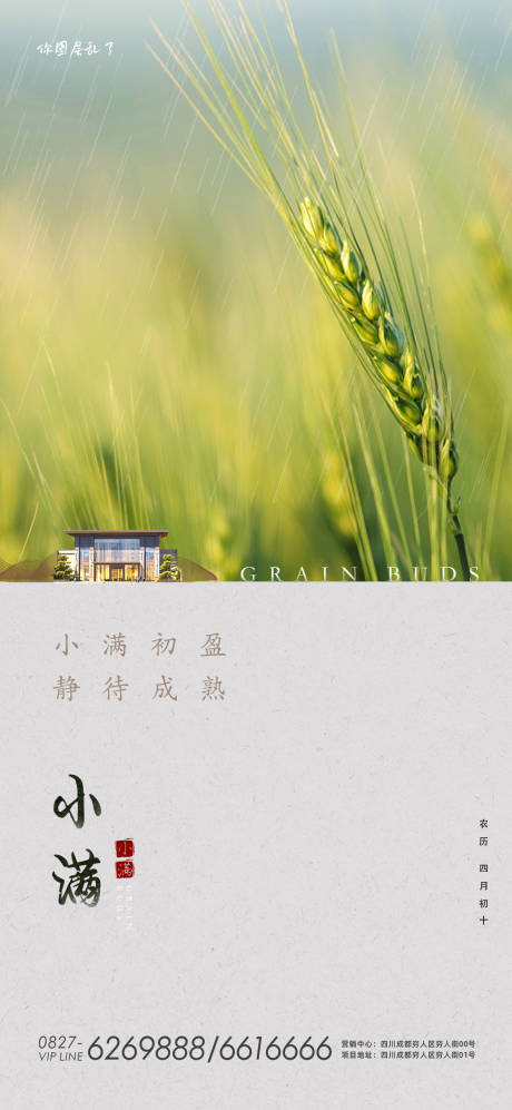 源文件下载【小满节气海报】编号：84980004580567109