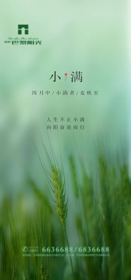 小满节气海报 lv.2设计助理涂涂