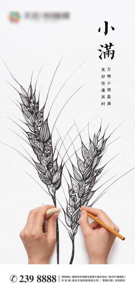 源文件下载【地产小满节气海报】编号：15980004640017988
