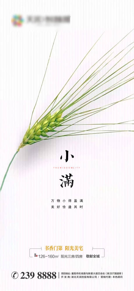 源文件下载【地产节气小满海报单图】编号：10090004640261632