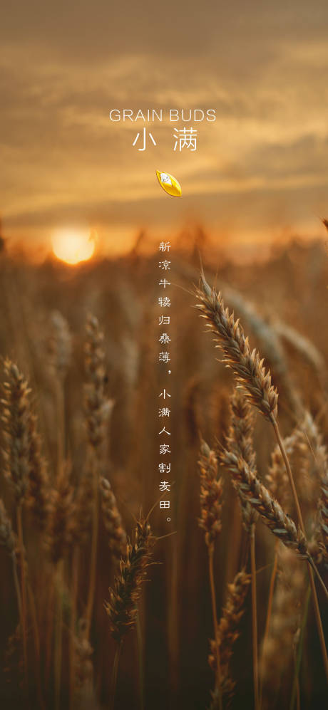 源文件下載【享設計】搜索編號：85110004552517576【小滿節氣海報】