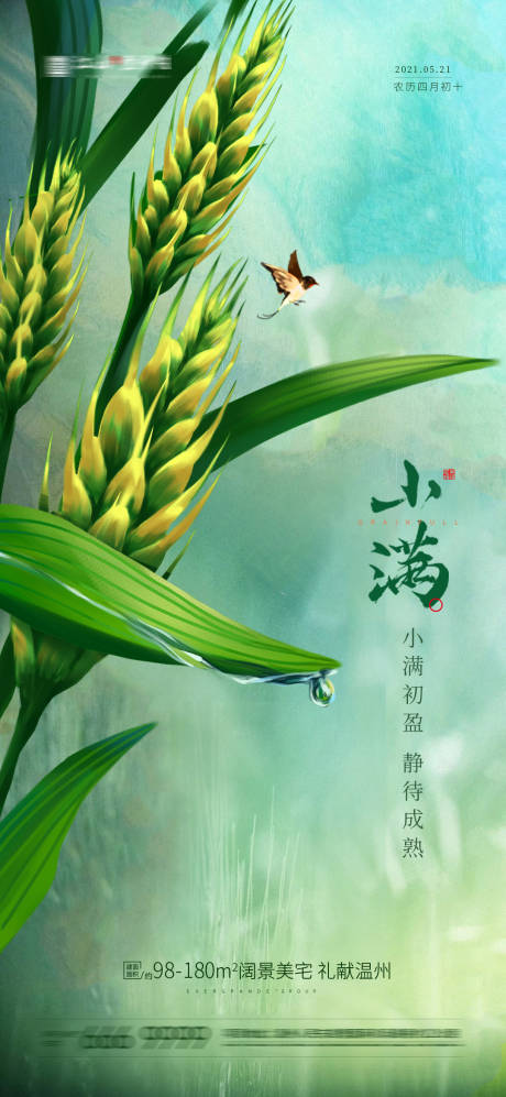 源文件下载【小满节气海报】编号：17500004640814171