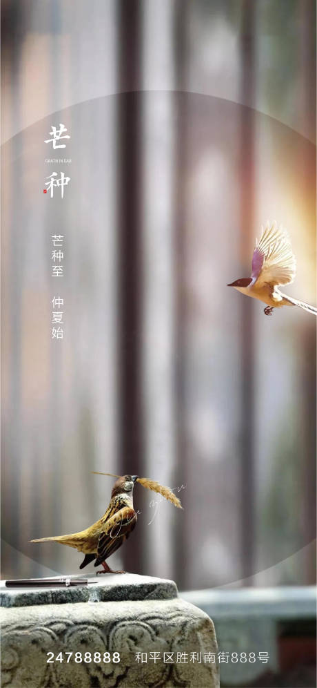源文件下载【地产芒种节气海报】编号：20210524104005609