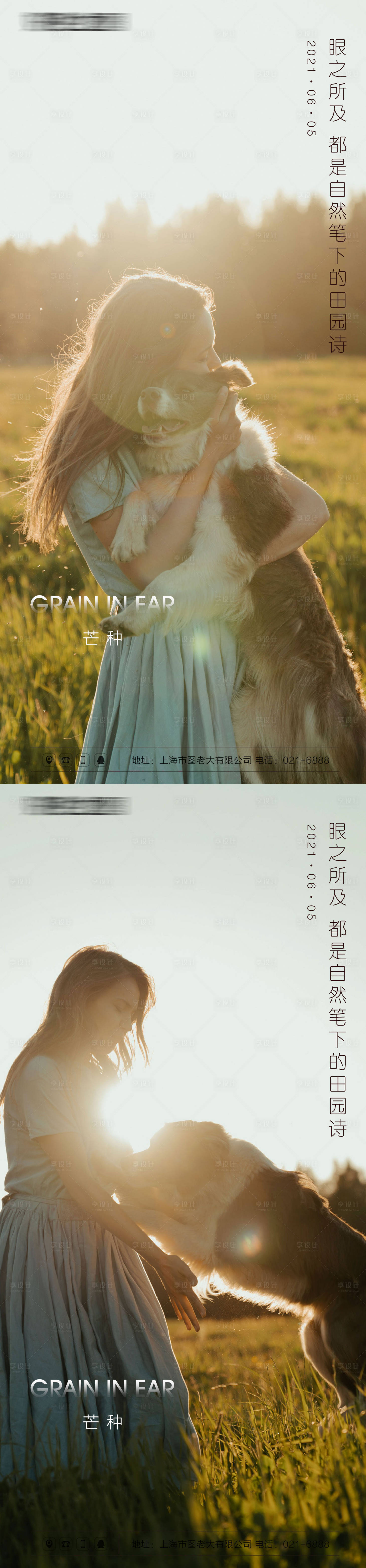 源文件下載【芒種節(jié)氣海報(bào)系列】編號(hào)：64530004892258869