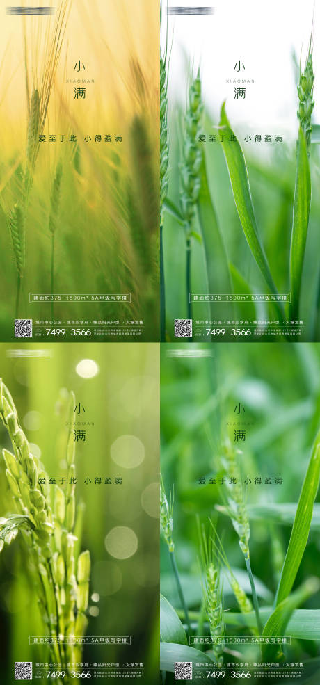 源文件下载【小满节气微信海报】编号：25740004539913521
