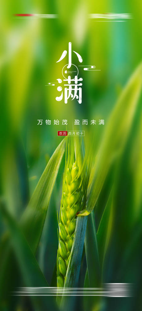 源文件下載【地產小滿節氣海報】編號：70900004721147179