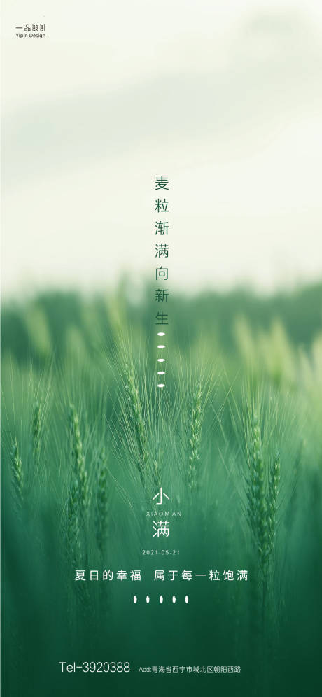 源文件下载【小满节气海报】编号：51380004647336180