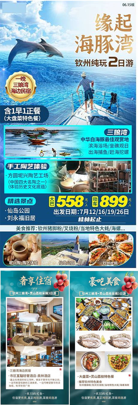 编号：20210318172956643【享设计】源文件下载-钦州海豚旅游海报