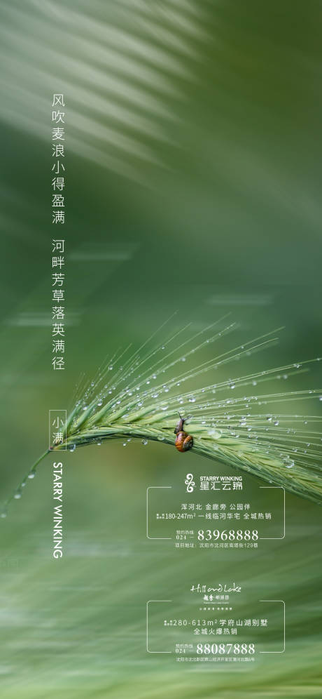 源文件下载【享设计】搜索编号：38320004551629168【小满节气移动端海报】