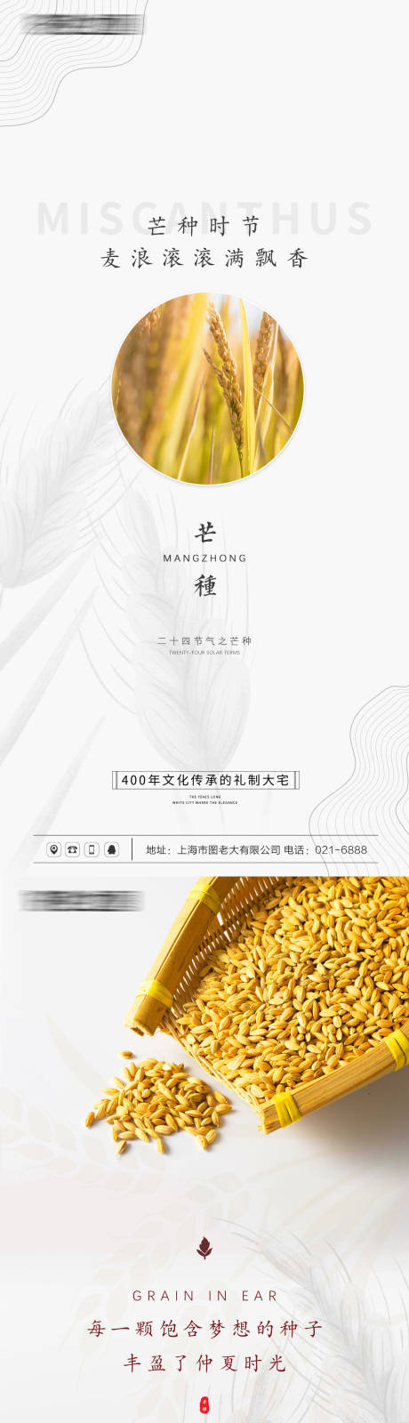 源文件下载【芒种节气系列海报】编号：81620004821194227