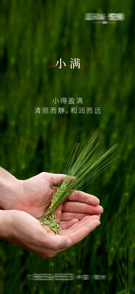 源文件下载【小满节气海报】编号：87420004747264051
