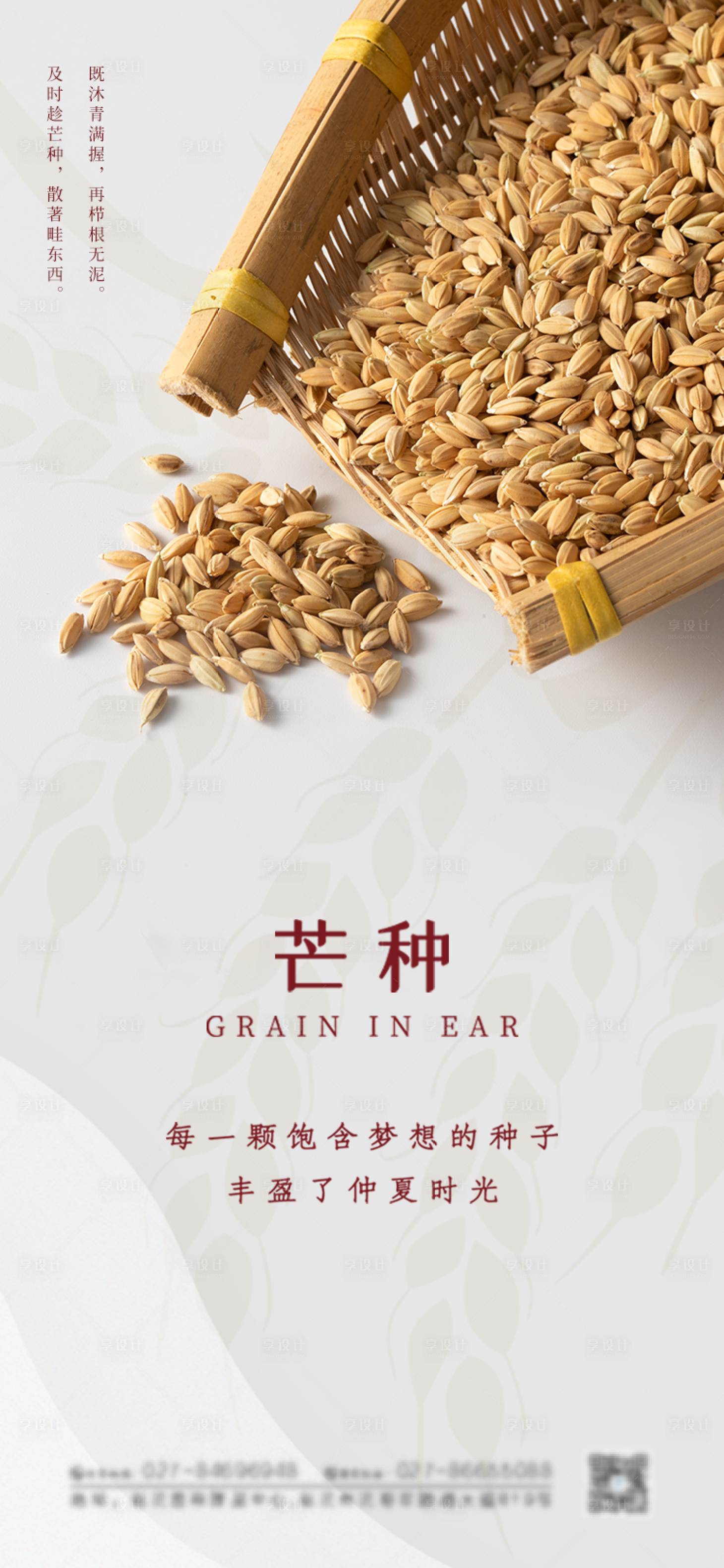 源文件下載【享設計】搜索編號：37820004526363450【二十四節氣芒種海報】