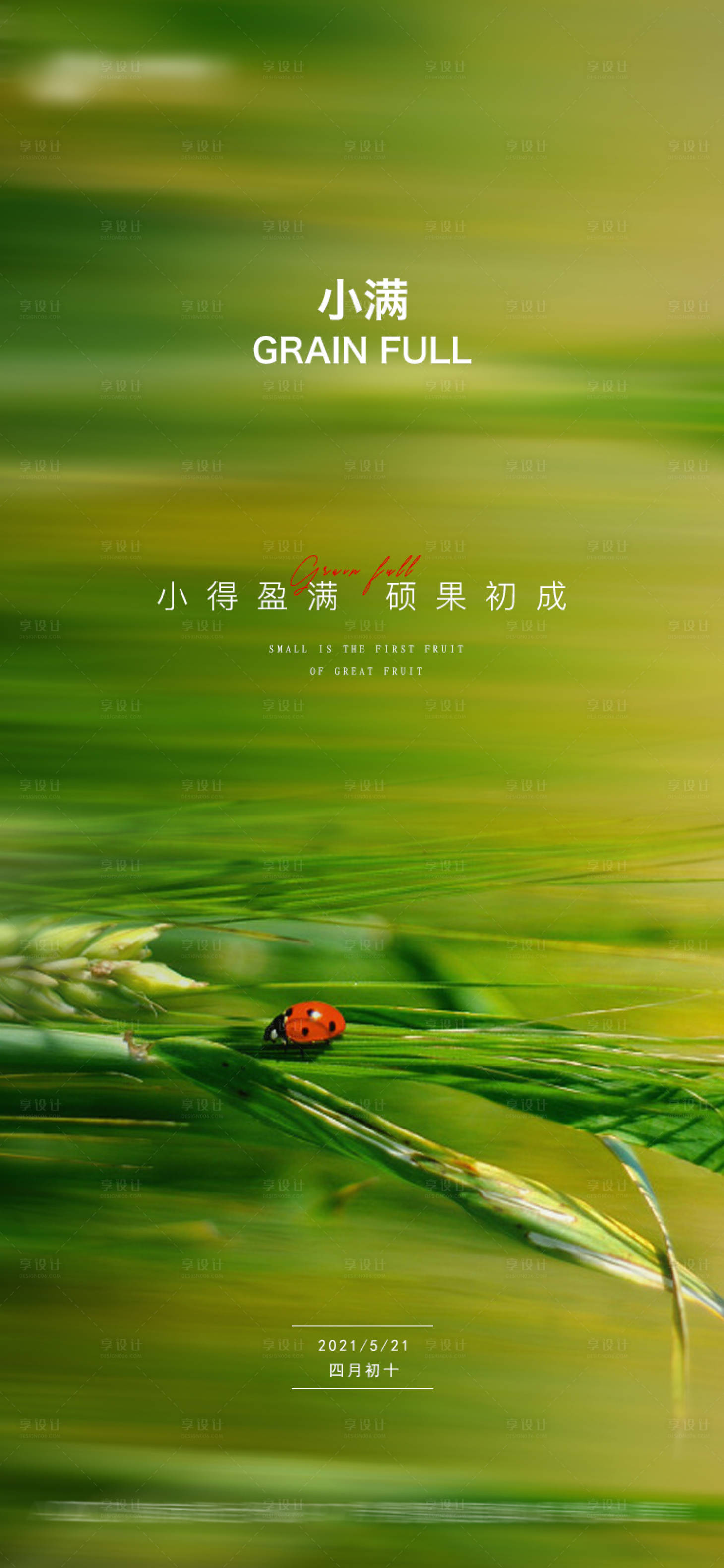 源文件下载【地产二十四节气小满海报】编号：47480004675832052
