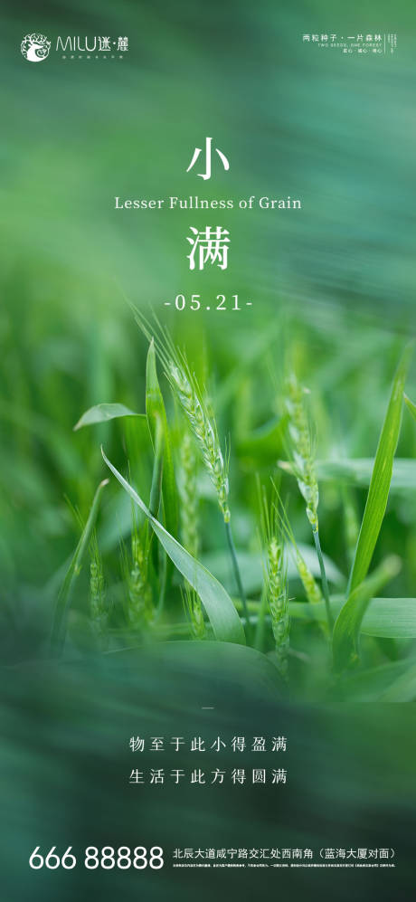 源文件下载【小满】编号：59190004667709769