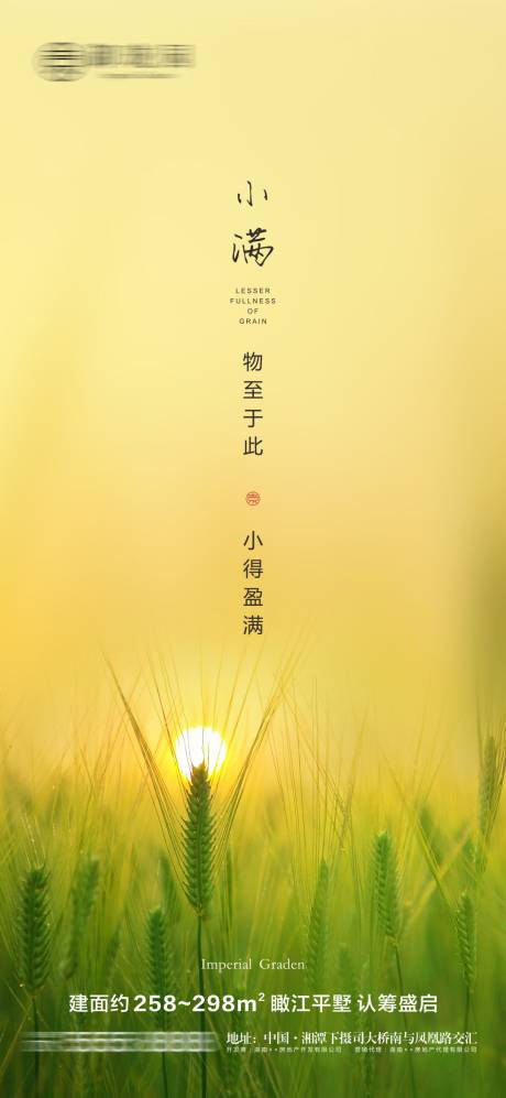 源文件下载【地产小满节气海报】编号：49150004718661087