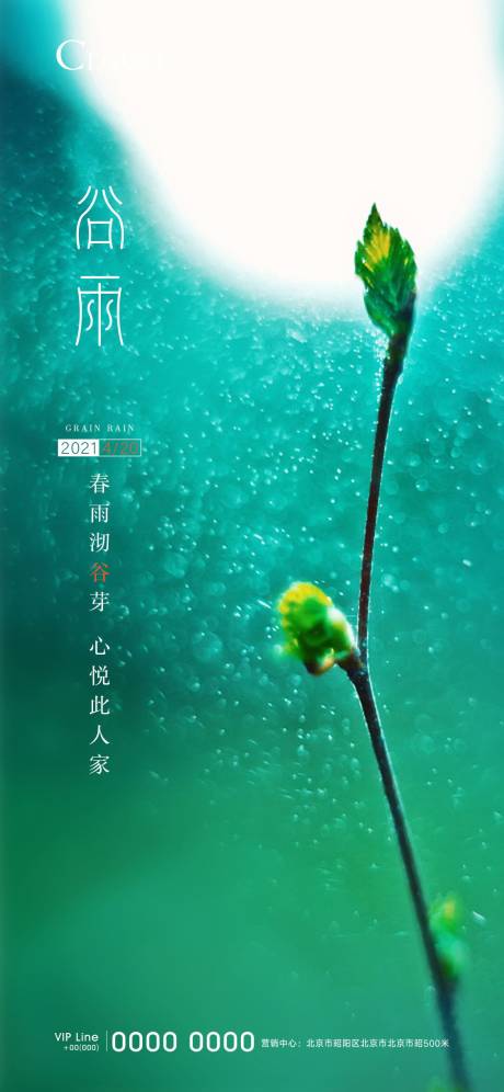 源文件下载【谷雨节气刷屏】编号：17000004916496764
