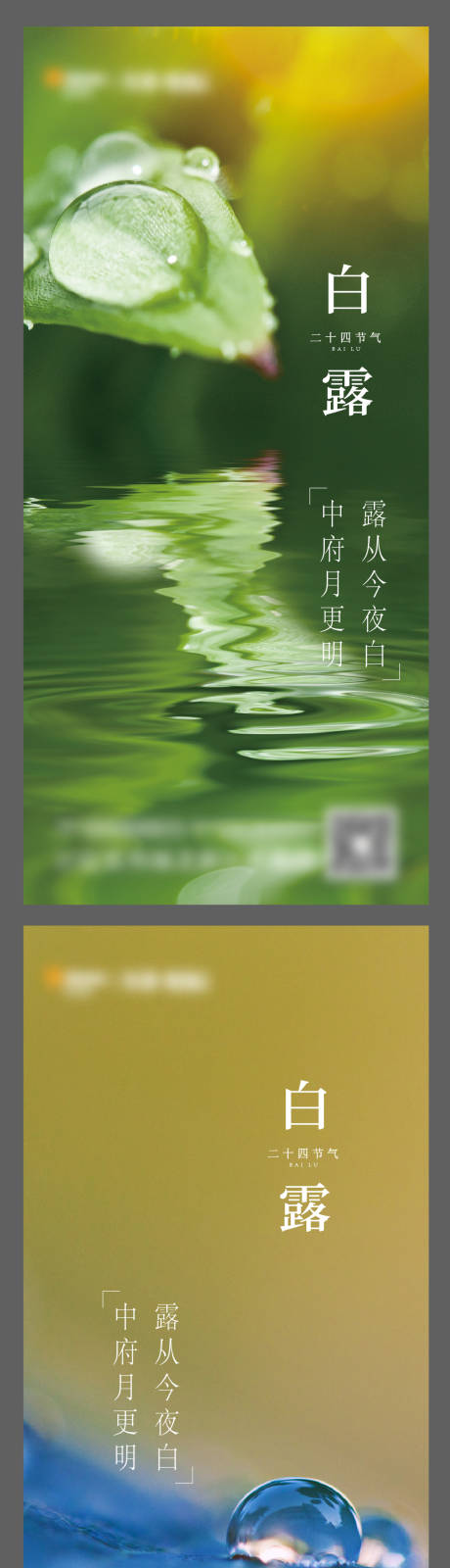 源文件下载【享设计】搜索编号：66690004602074338【二十四节气白露海报】