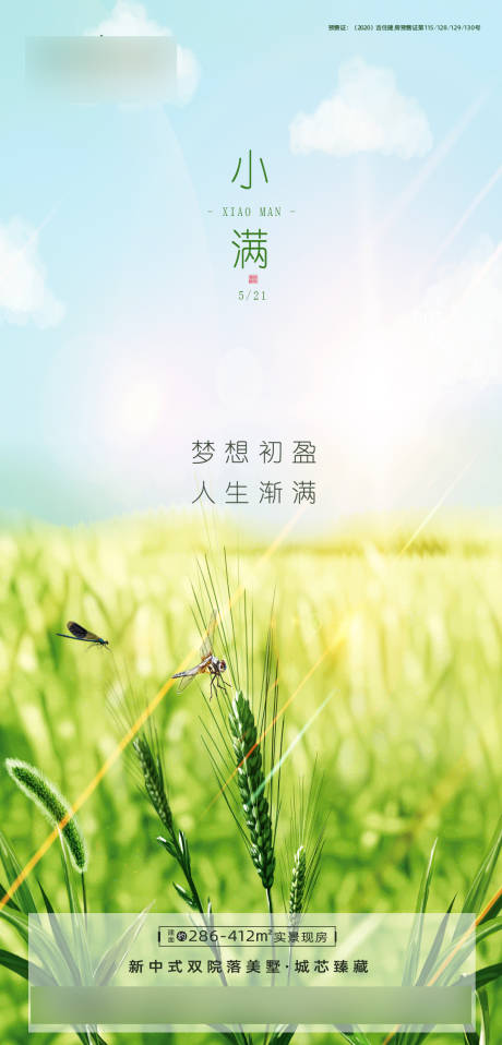源文件下载【小满节气图】编号：79350004604598945