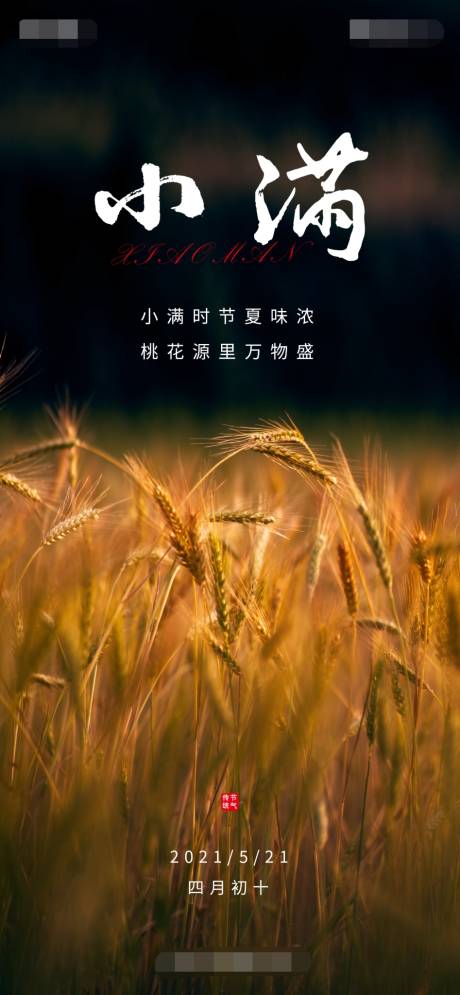 源文件下載【享設計】搜索編號：15700004651791809【小滿海報】