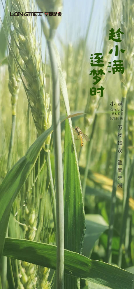 源文件下载【小满】编号：71040004544372907
