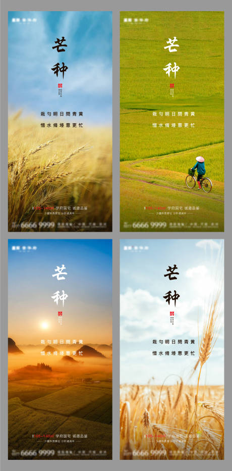 源文件下载【地产芒种节气海报系列】编号：25790004842415703