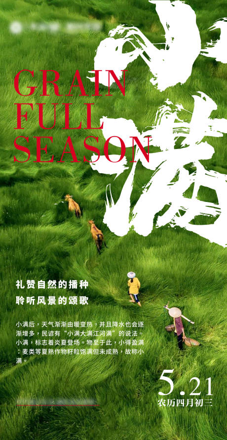 源文件下载【小满节气海报】编号：44520004681365139