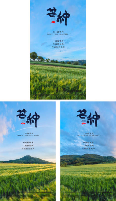 源文件下载【芒种节气海报】编号：87870004897229226