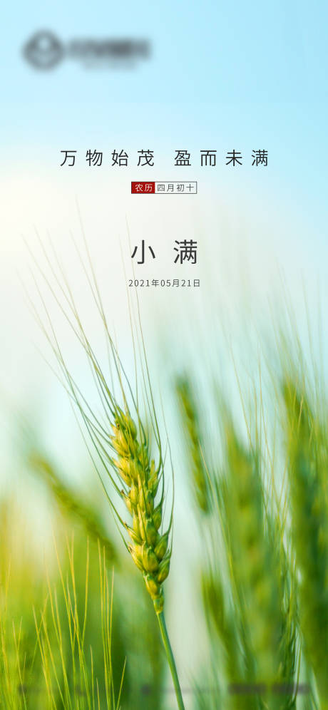源文件下载【小满节气海报】编号：72250004766579068