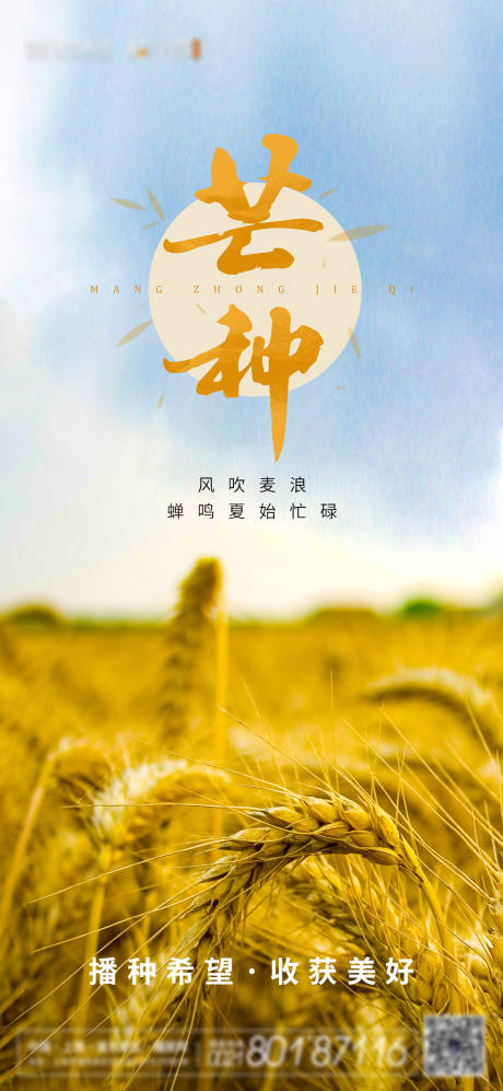 源文件下載【地產芒種節氣成熟小麥海報】編號：38590004923813013