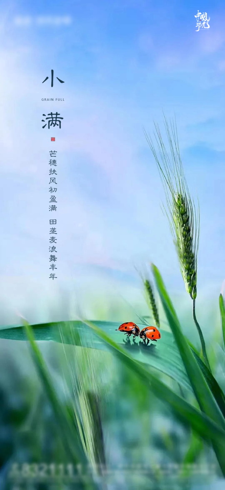 源文件下載【房地產田野節氣小滿宣傳海報】編號：36950004665707588