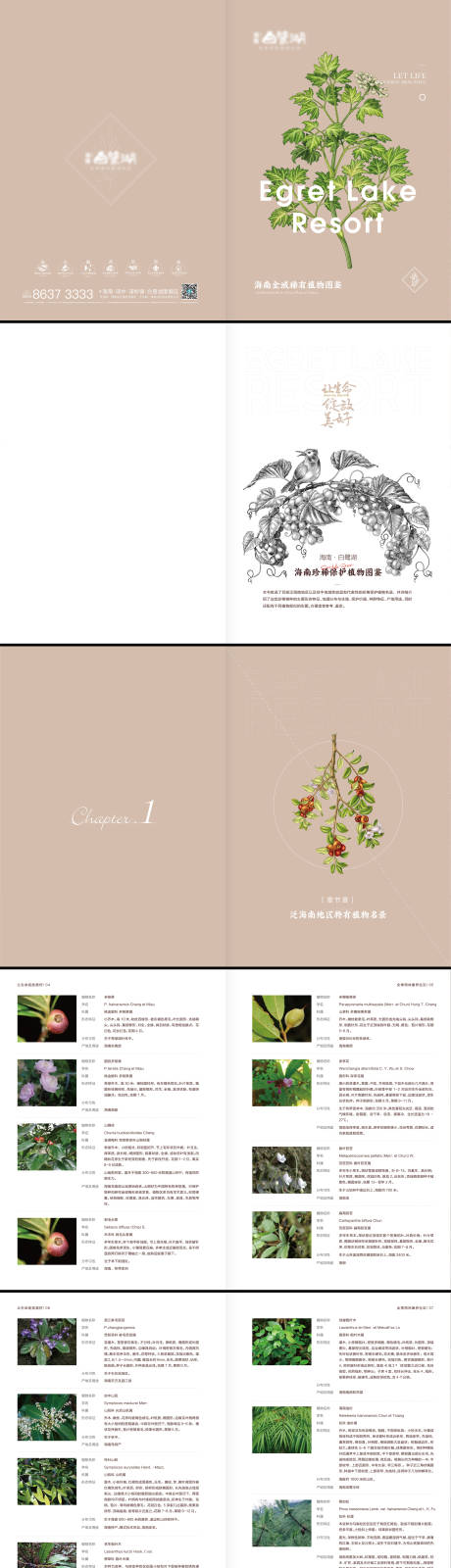 源文件下載【海南全域稀有植物畫冊(cè)】編號(hào)：46130004732309057