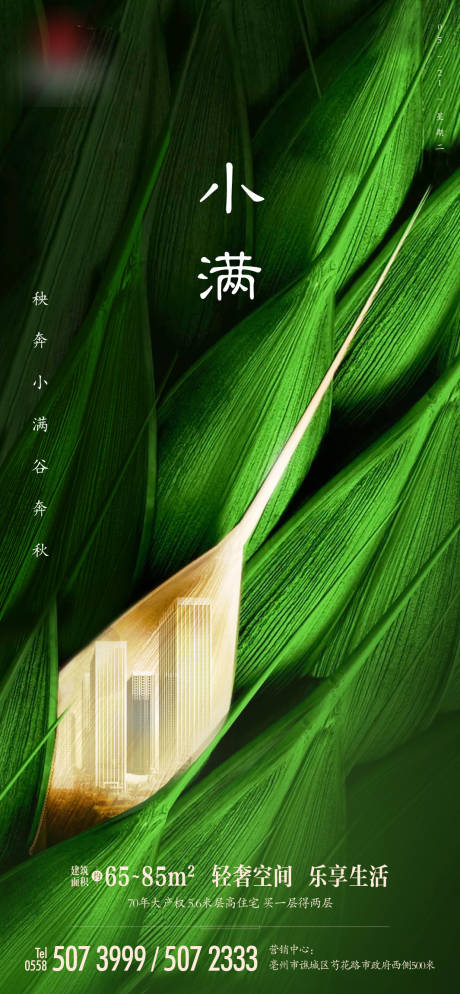 源文件下载【地产小满节气单图海报】编号：65000004854312650
