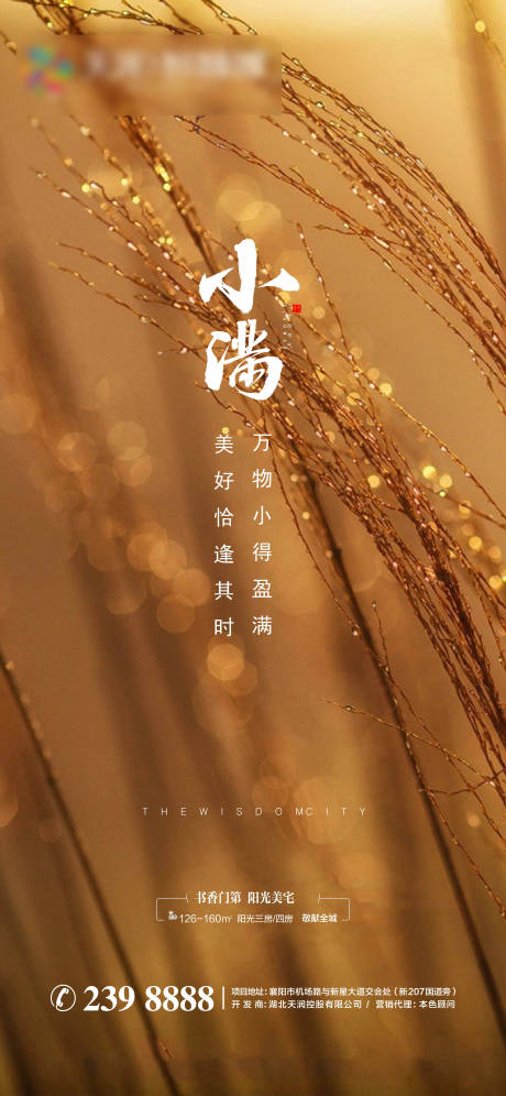 源文件下载【享设计】搜索编号：13530004640281807【地产节气小满海报单图】
