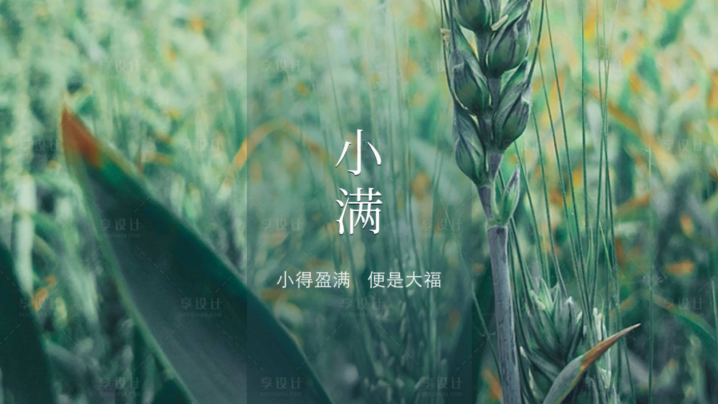 源文件下载【小满节气海报展板】编号：33770004625168426
