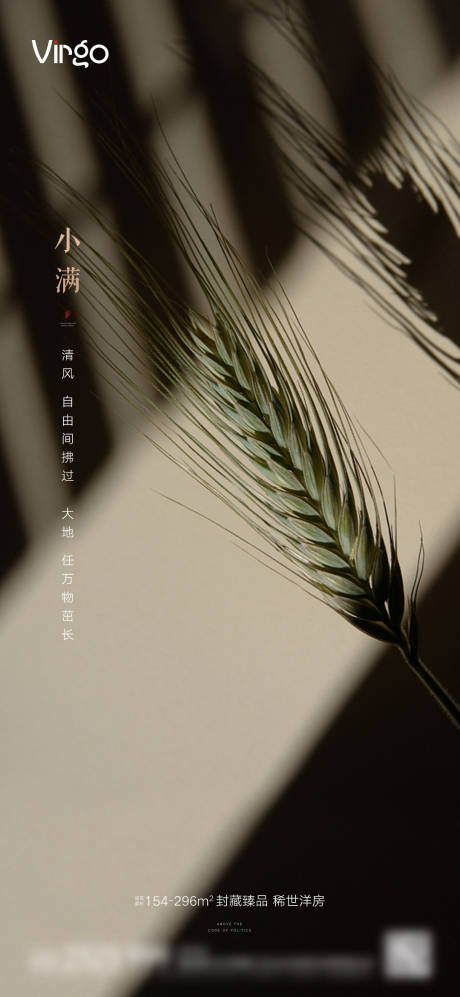 源文件下载【地产节气小满】编号：16990004767835136