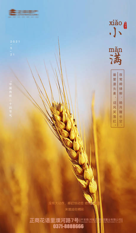 源文件下载【地产二十四节气小满海报】编号：46580004613237563