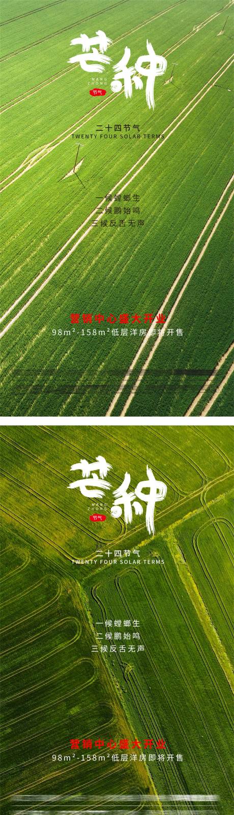 源文件下载【地产芒种系列海报】编号：49400004893512720