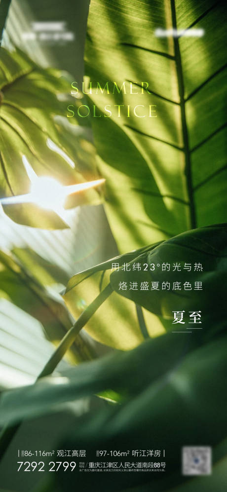 源文件下载【地产夏至海报】编号：69930004781029246