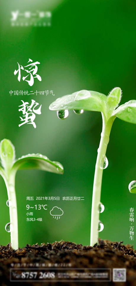 源文件下載【享設計】搜索編號：80560004782784777【驚蟄節氣海報】