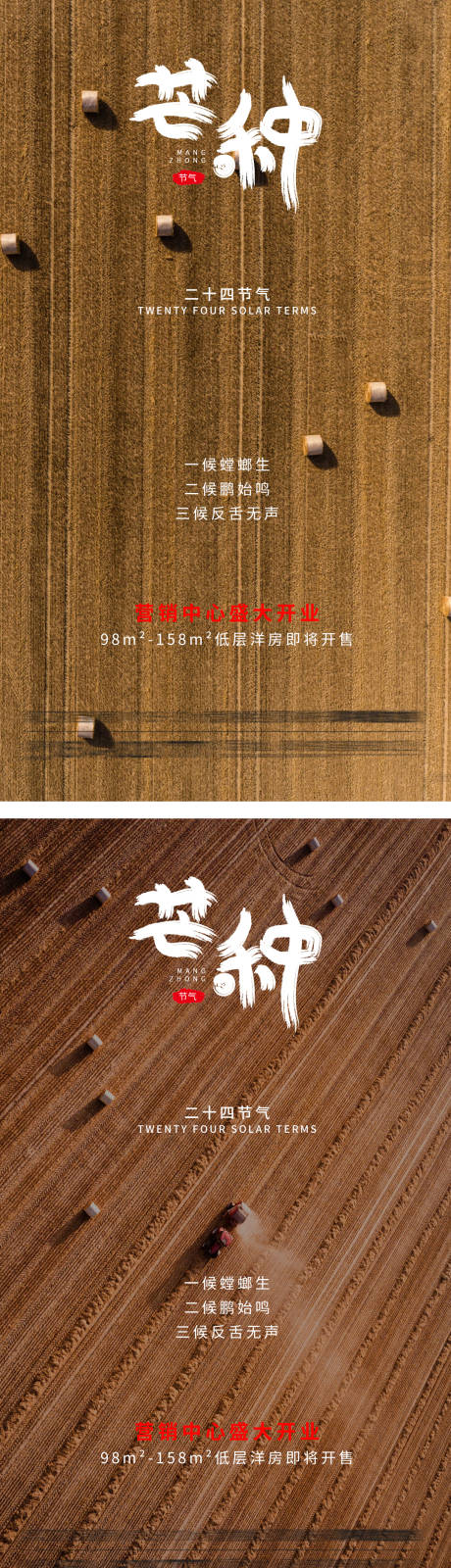 源文件下载【芒种节气海报】编号：41000004894855797