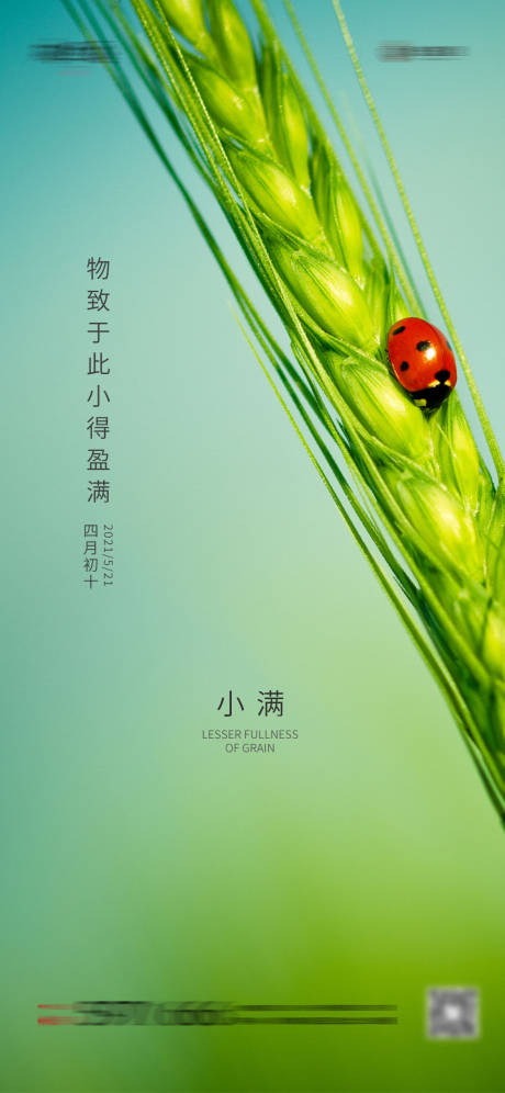 源文件下载【小满节气海报】编号：28010004551335497