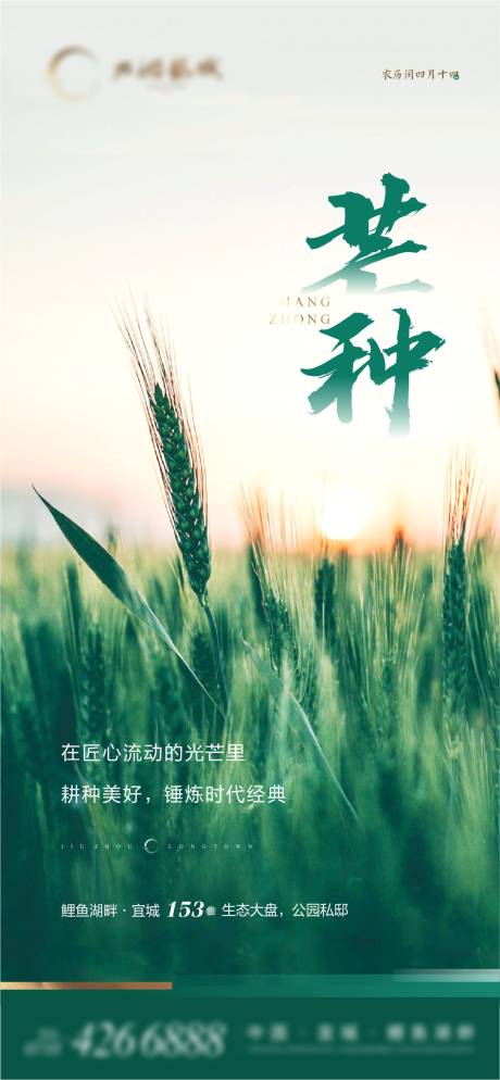 源文件下載【地產芒種海報】編號：84300004751735864
