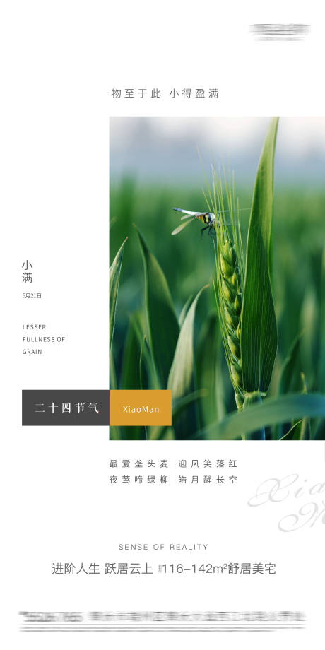 源文件下載【小滿(mǎn)海報(bào)】編號(hào)：42400004618436005